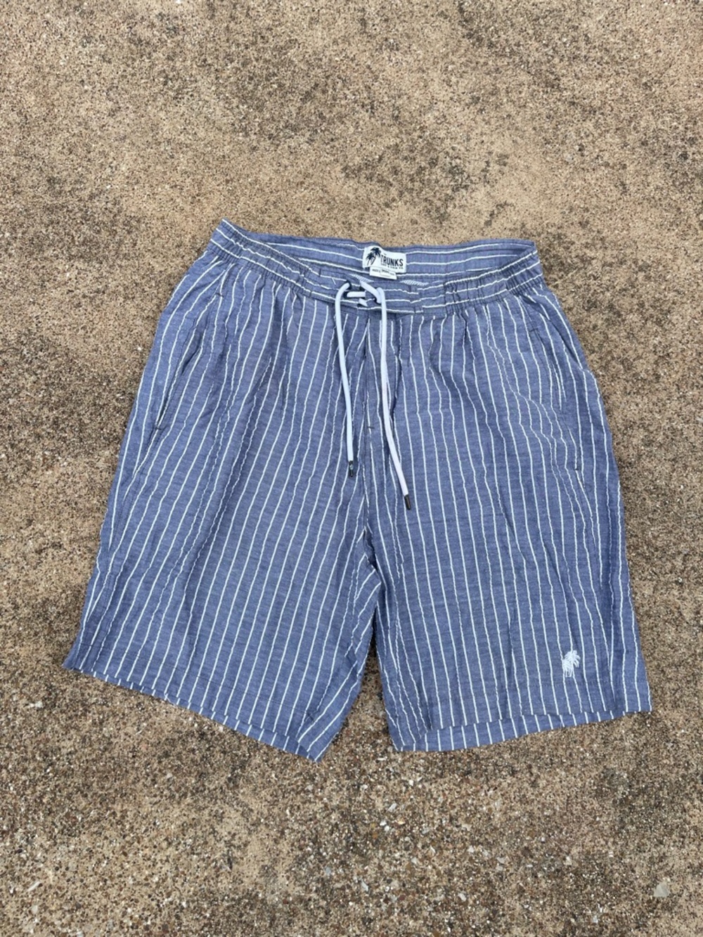 Striped Blue Drawstring Swim Shorts